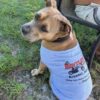 Bentley's Dog T's!