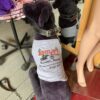 Bentley's Dog T's! - Image 3