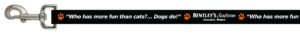 Text saying 'cats?... Dogs' on a black background.